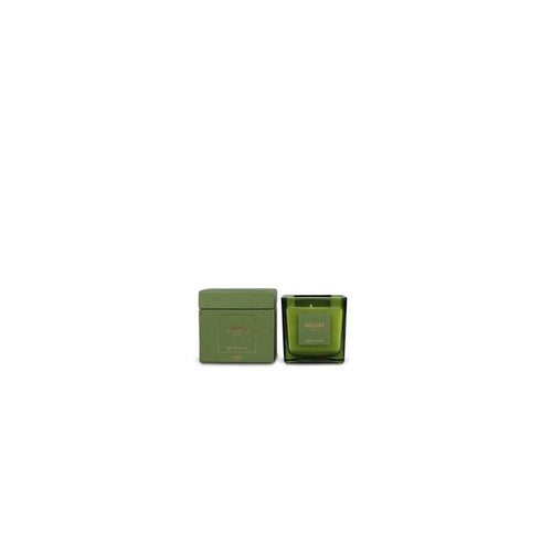 S|P Collection Candela profumata 220g Forest Gallery